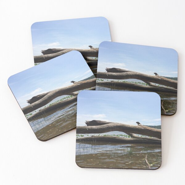 Item preview, Driftwood in the Hudson, Catskill designed and sold by HudsonRiverArt.