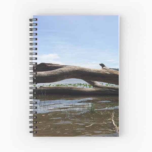 Item preview, Driftwood in the Hudson, Catskill designed and sold by HudsonRiverArt.