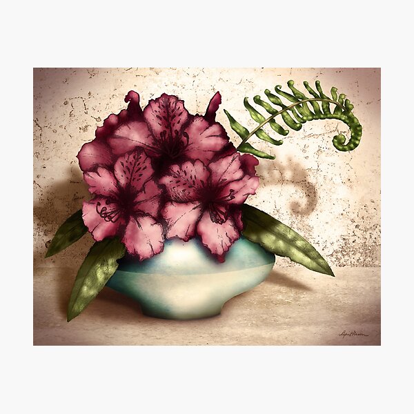 Photographic Print