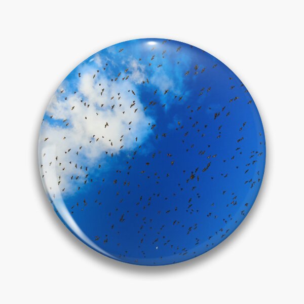 Item preview, Migration  designed and sold by Oran Hassidim.
