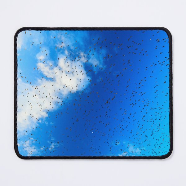 Item preview, Migration  designed and sold by Oran Hassidim.