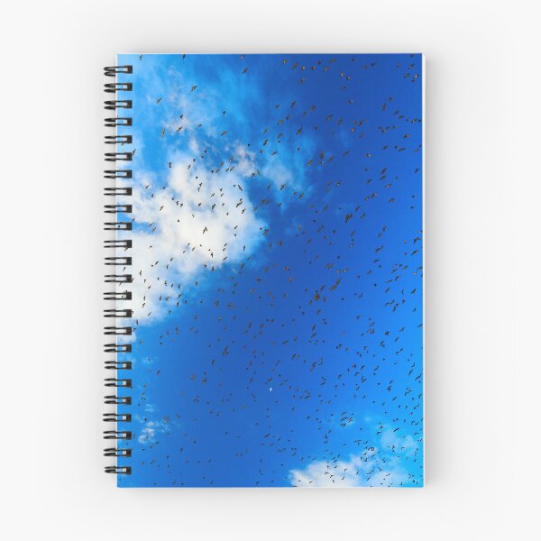 Item preview, Migration  designed and sold by Oran Hassidim.
