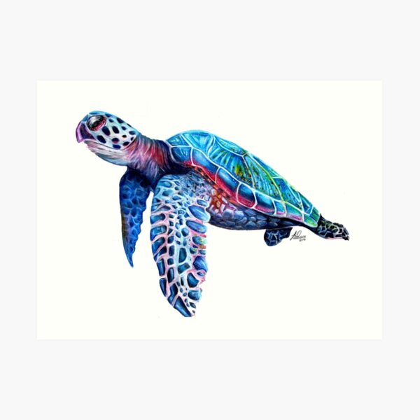 Sea Turtle Art Print