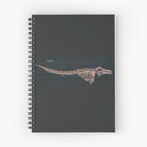 Item preview, Orcinus Orca Skeletal Study designed and sold by Thedragonofdoom.