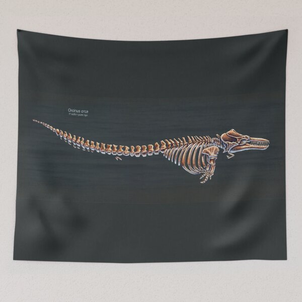 Item preview, Orcinus Orca Skeletal Study designed and sold by Thedragonofdoom.