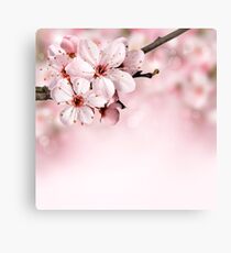 BLOOMING BLOSSOMS Canvas Print