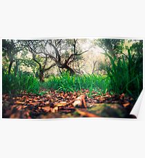 Surreal Forest Poster