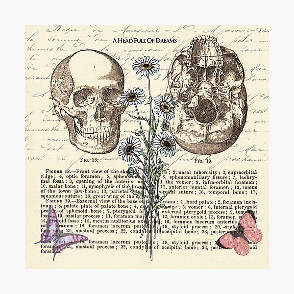 A head full of dreams Photographic Print