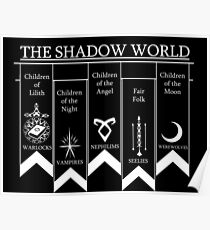 The shadow World - Shadowhunters Poster