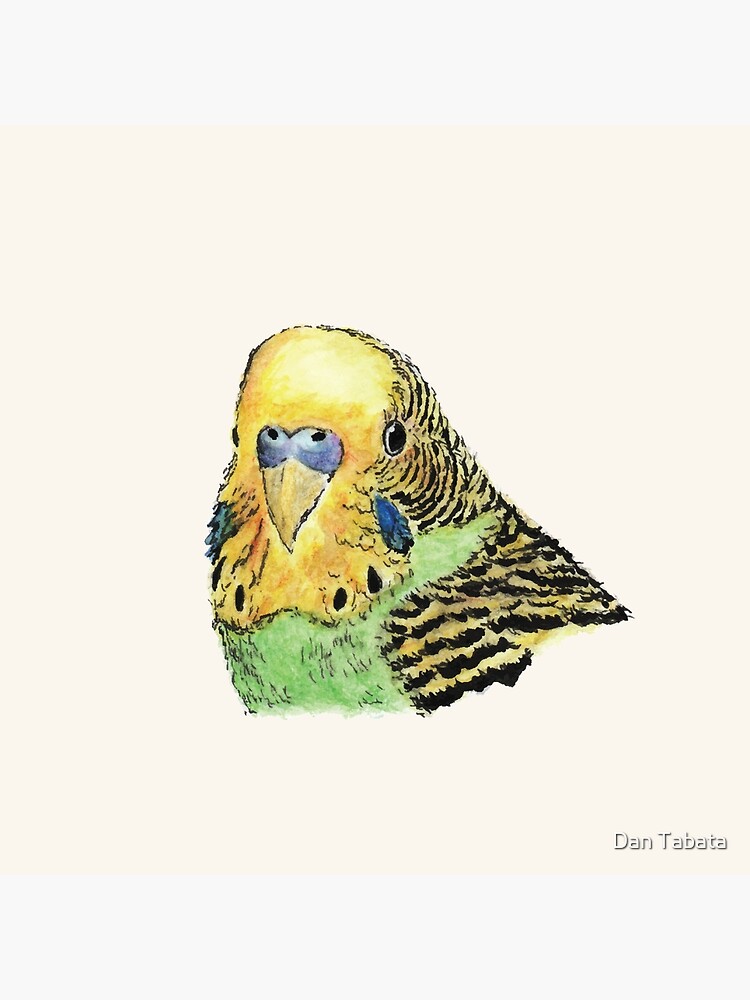 Prettyboy the Green Parakeet by dmtab