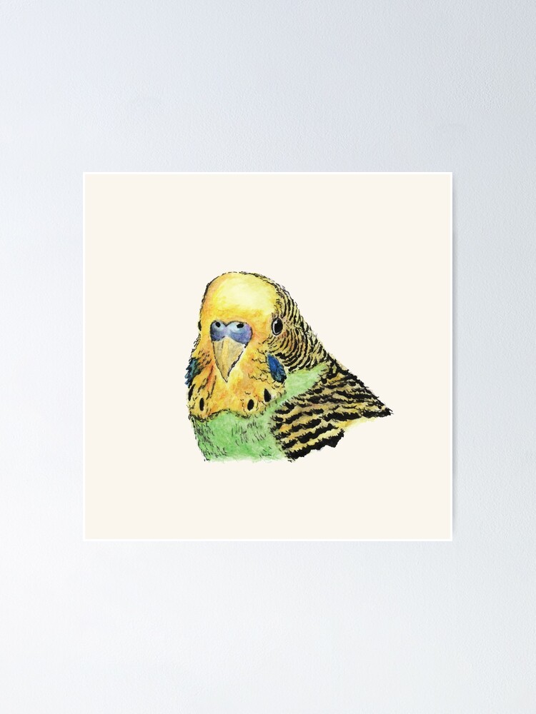 Alternate view of Prettyboy the Green Parakeet Poster