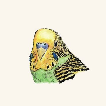 Artwork thumbnail, Prettyboy the Green Parakeet by Dan Tabata