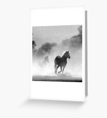 HORSE'S THUNDER Greeting Card