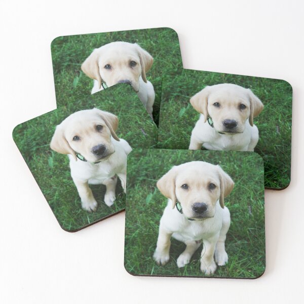 Item preview, Retriever puppy looking at camera designed and sold by riku05830.