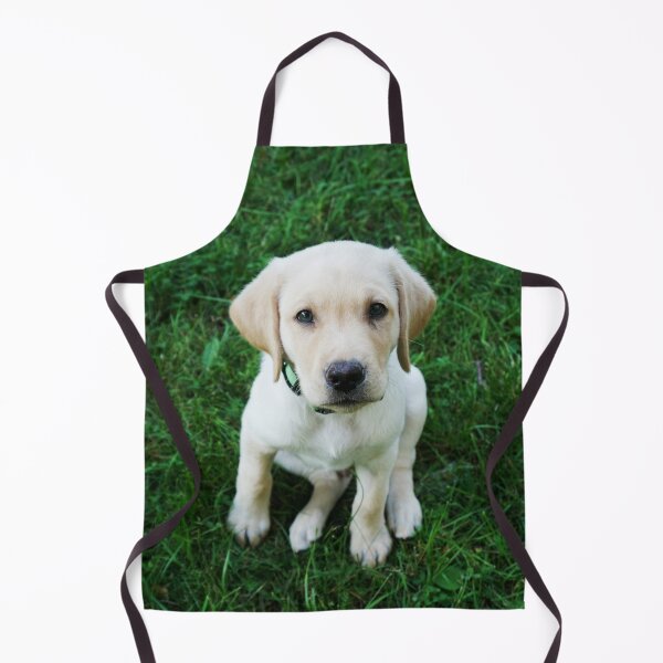 Item preview, Retriever puppy looking at camera designed and sold by riku05830.