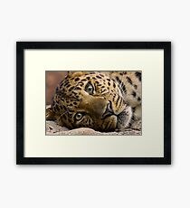 Passive Framed Print