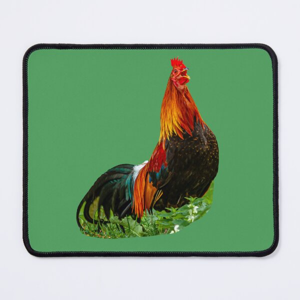 Item preview, Jungle fowl rooster crowing designed and sold by Dalyndigital Photography.