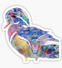 Wood Duck Sticker