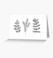 black and white plants Greeting Card