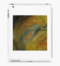 SUMMER STREAM TO POND, Aerial View iPad Case/Skin