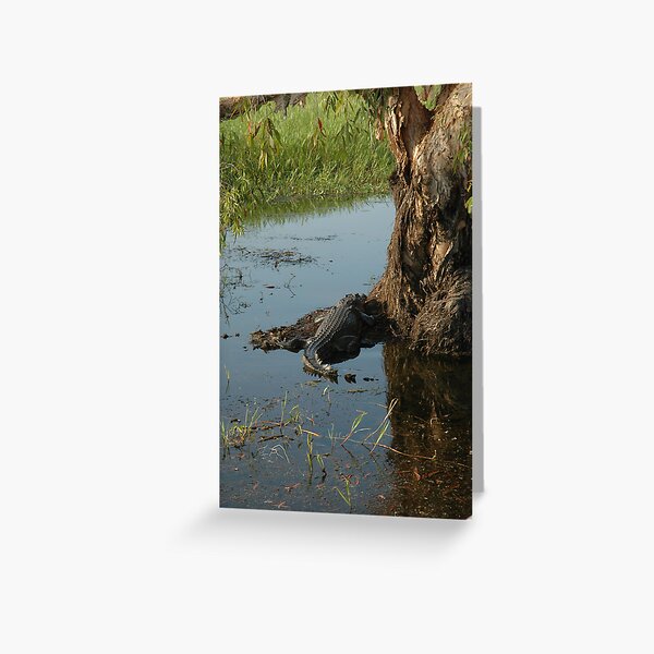 Artikel-Vorschau von Crocodile resting, designt und verkauft von Ian McKenzie.