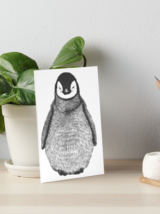 penguin penguin