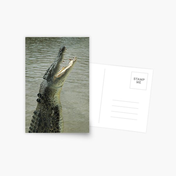 Artikel-Vorschau von Another hungry crocodile, designt und verkauft von Ian McKenzie.