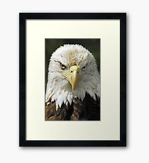 Trust Framed Print