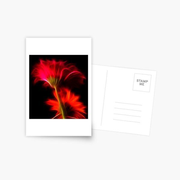 Flamin Postcard