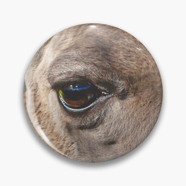 Item preview, Beautiful head of a Guanaco designed and sold by Dalyndigital Photography.