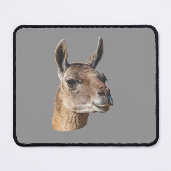 Item preview, Beautiful head of a Guanaco designed and sold by Dalyndigital Photography.