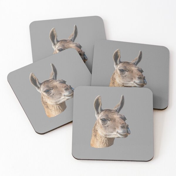 Item preview, Beautiful head of a Guanaco designed and sold by Dalyndigital Photography.