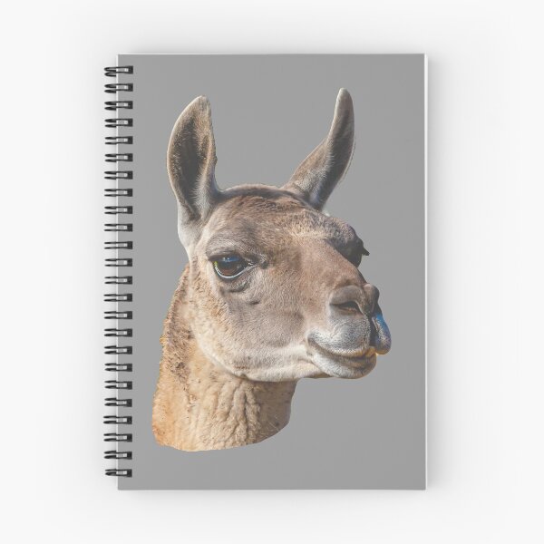Item preview, Beautiful head of a Guanaco designed and sold by Dalyndigital Photography.
