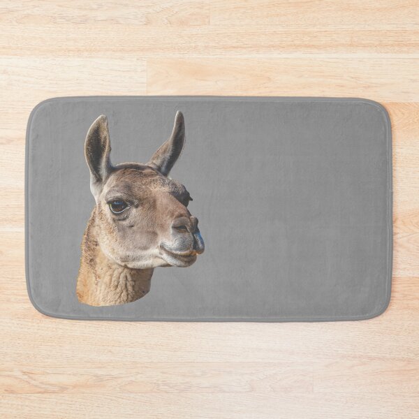 Item preview, Beautiful head of a Guanaco designed and sold by Dalyndigital Photography.