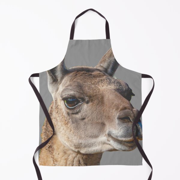 Item preview, Beautiful head of a Guanaco designed and sold by Dalyndigital Photography.