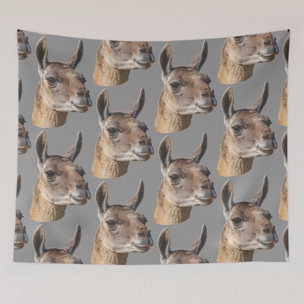 Item preview, Beautiful head of a Guanaco designed and sold by Dalyndigital Photography.