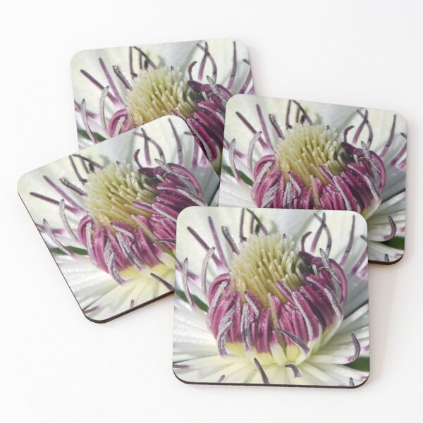 Item preview, Clematis Close Up designed and sold by Chris Monks.