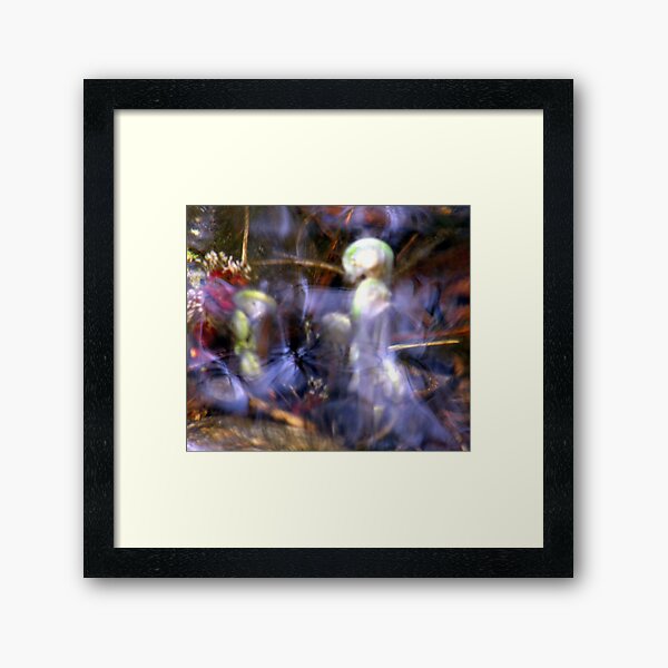 Aquatic Angels Framed Art Print