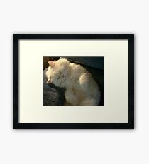 MY FAVORITE PLACE Framed Print