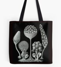 Ernst Haeckel Slime Mold illustrations from 1900 Tote Bag
