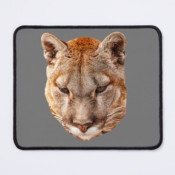 Item preview, Mountain Lion or Panther designed and sold by Dalyndigital Photography.