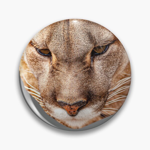 Item preview, Mountain Lion or Panther designed and sold by Dalyndigital Photography.