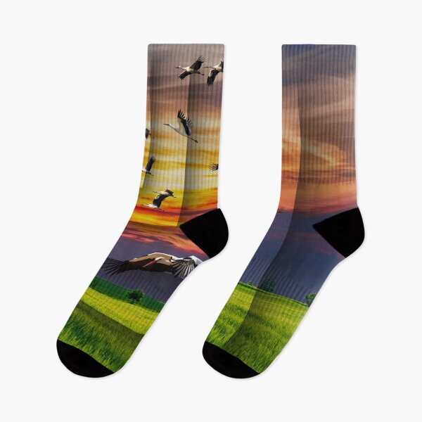 Item preview, Peaceful sunset of the countryside. designed and sold by ThanhCong-VN.