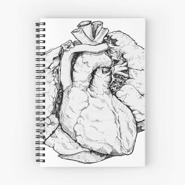 Item preview, Heart and Lungs designed and sold by Anachronatomy.