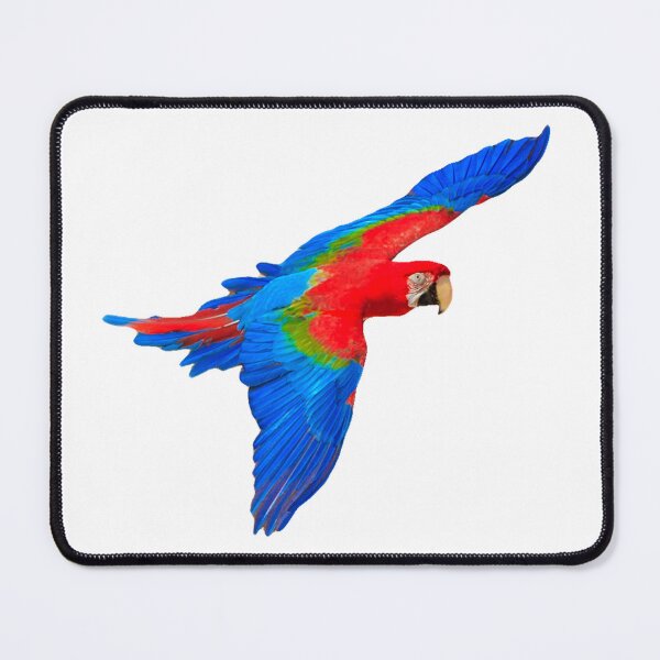 Item preview, Scarlet and Blue Macaw designed and sold by Dalyndigital Photography.