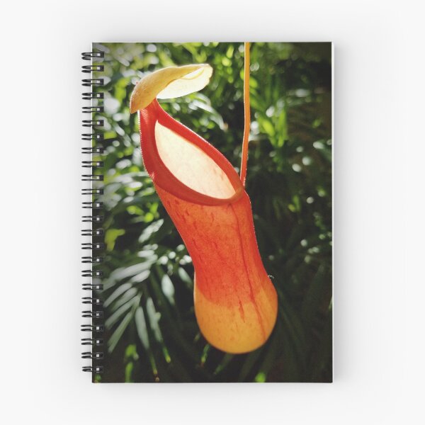 Item preview, Nepenthes designed and sold by QuasaiBonsai.