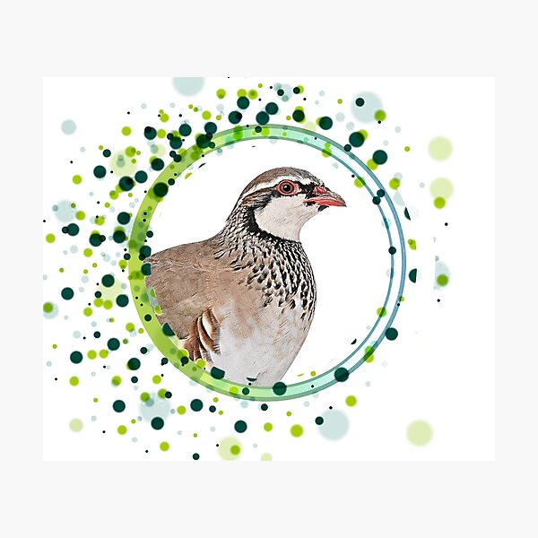 Artikelvorschau, Kreis-Clipart entworfen und verkauft von y33top.