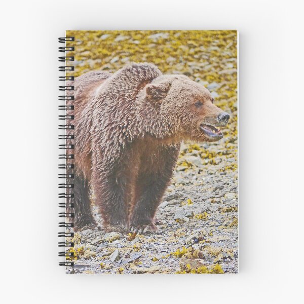 Item preview, Bear Watching designed and sold by Graeme  Hyde.