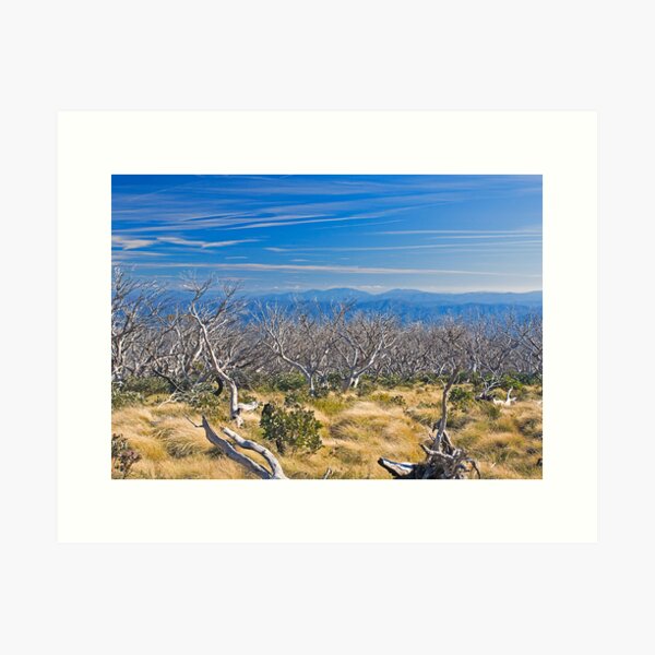 Item preview, High Country designed and sold by Richard  Windeyer.