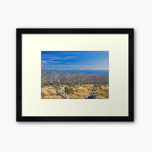 Item preview, High Country designed and sold by Richard  Windeyer.
